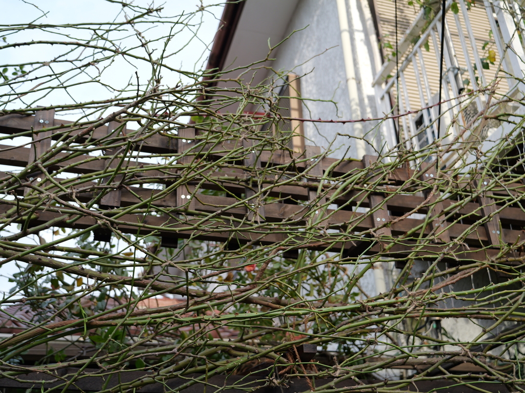 2024-12-13 14_49№(0031).JPG