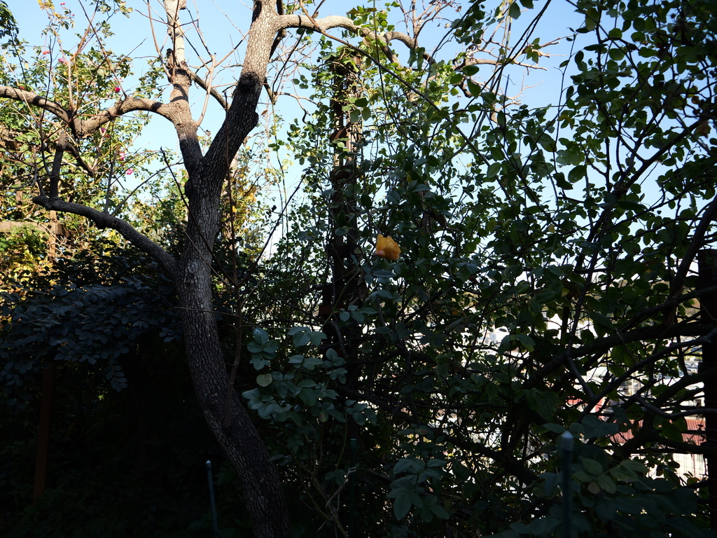 2024-12-19 13_52№(0291).JPG