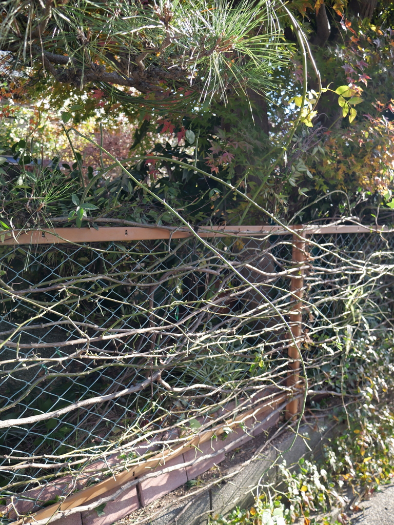 2024-12-28 09_14№(0032).JPG