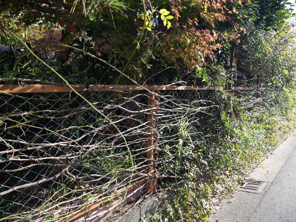 2024-12-28 09_43№(0030).JPG