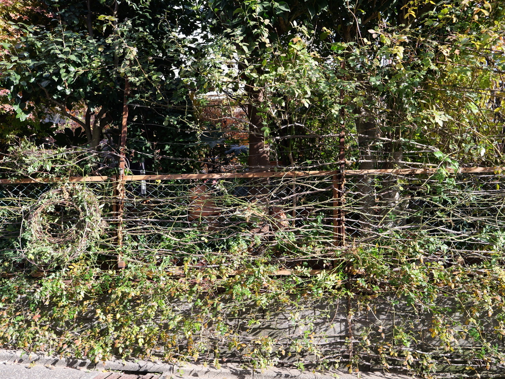 2024-12-28 10_11№(0147).JPG