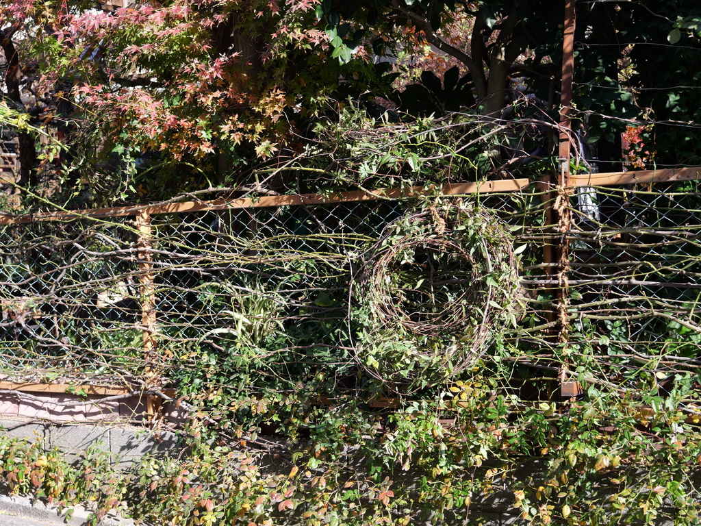 2024-12-28 10_11№(0148).JPG