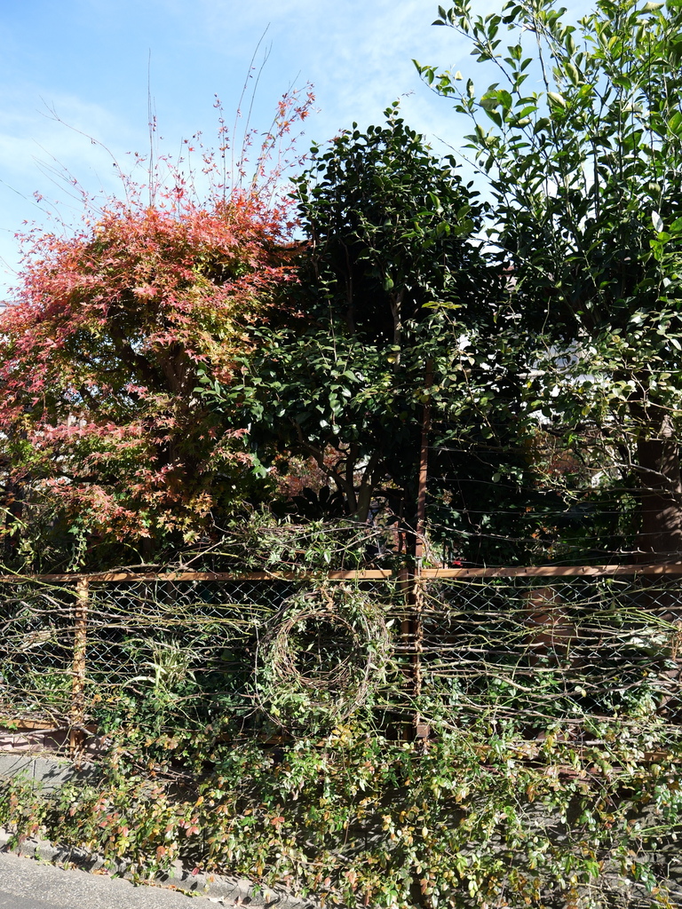 2024-12-28 10_11№(0150).JPG