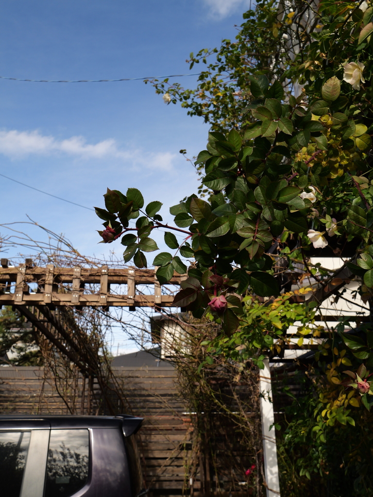 2024-12-30 09_37№(0066).JPG