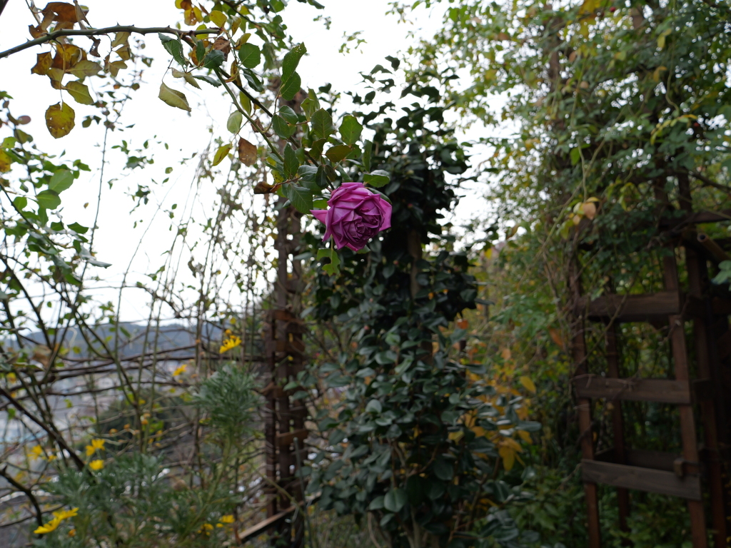 2025-01-12 11_47№(0286).JPG