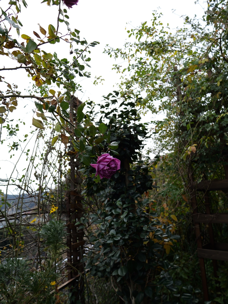 2025-01-12 11_47№(0290).JPG