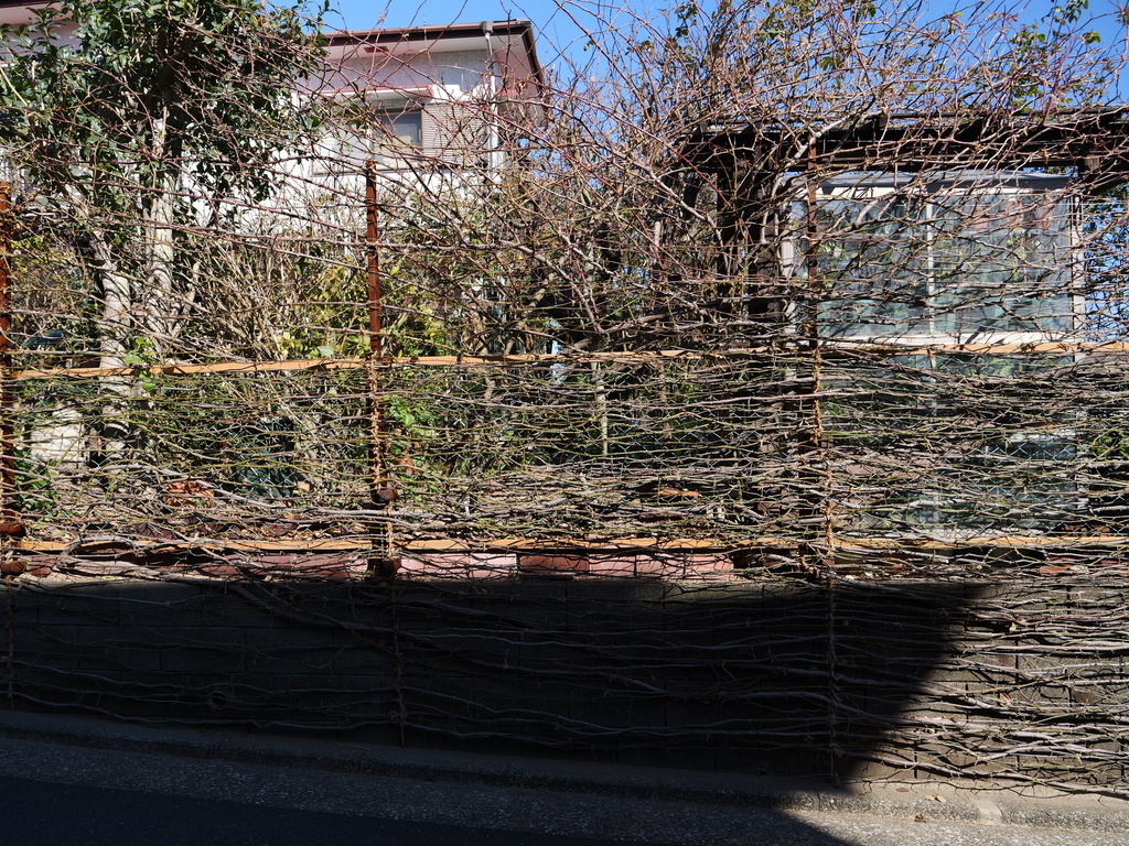 2025-01-29 12_18№(0154).JPG