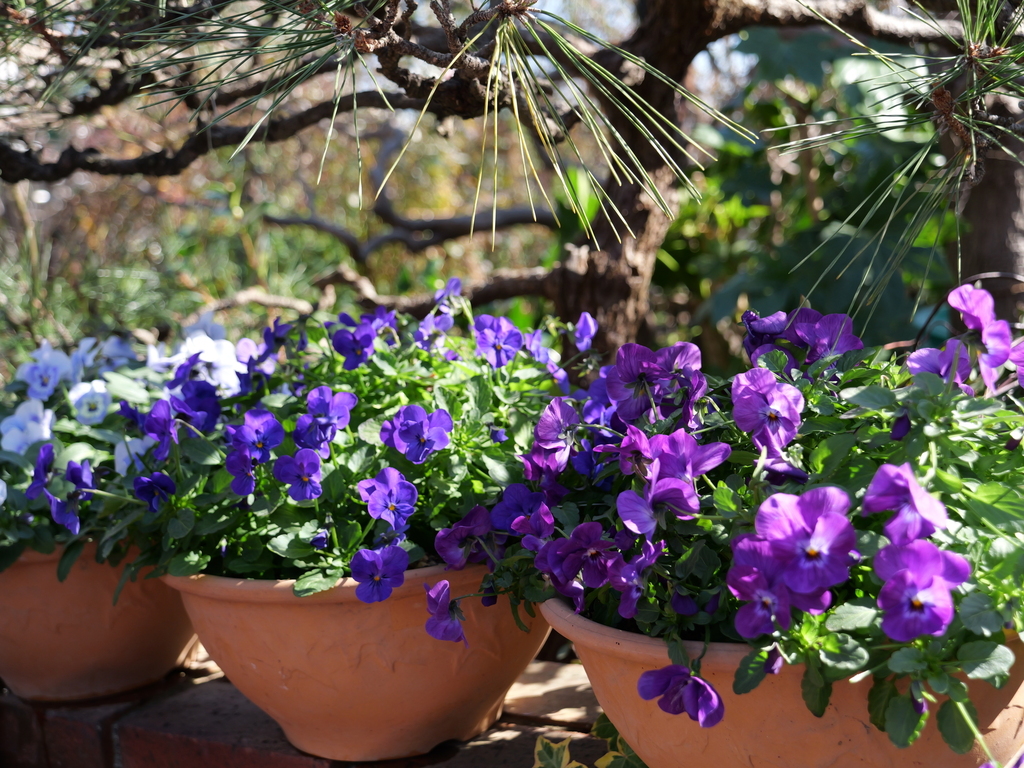 2025-01-29 12_19№(0163).JPG