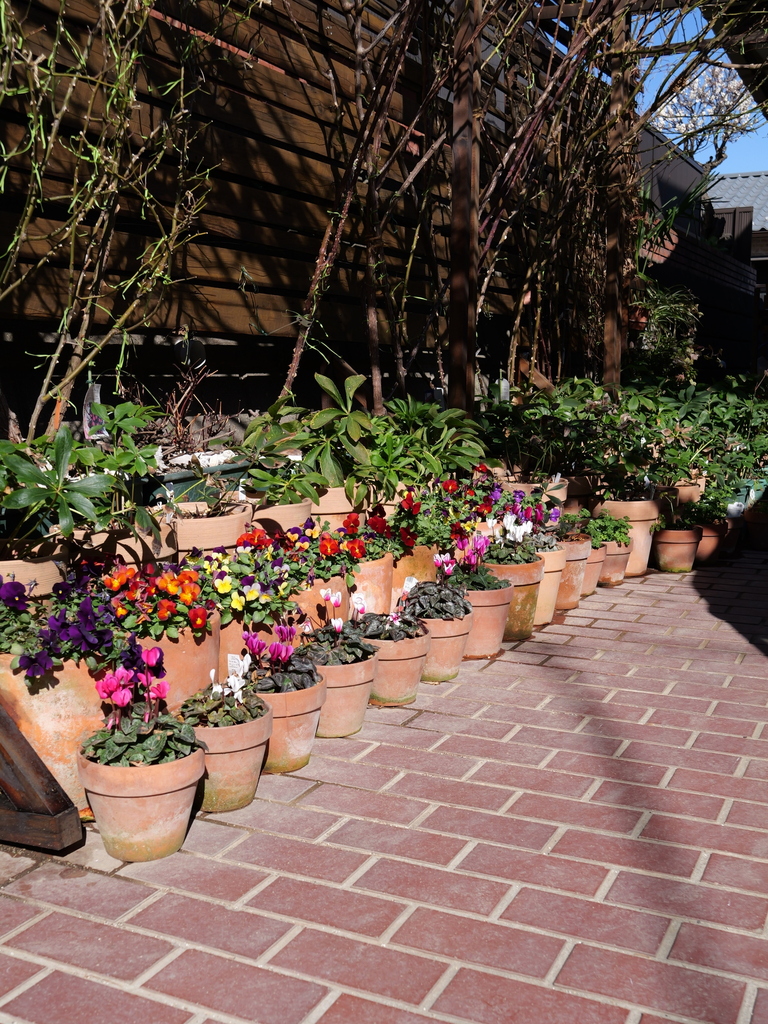 2025-01-29 12_19№(0167).JPG
