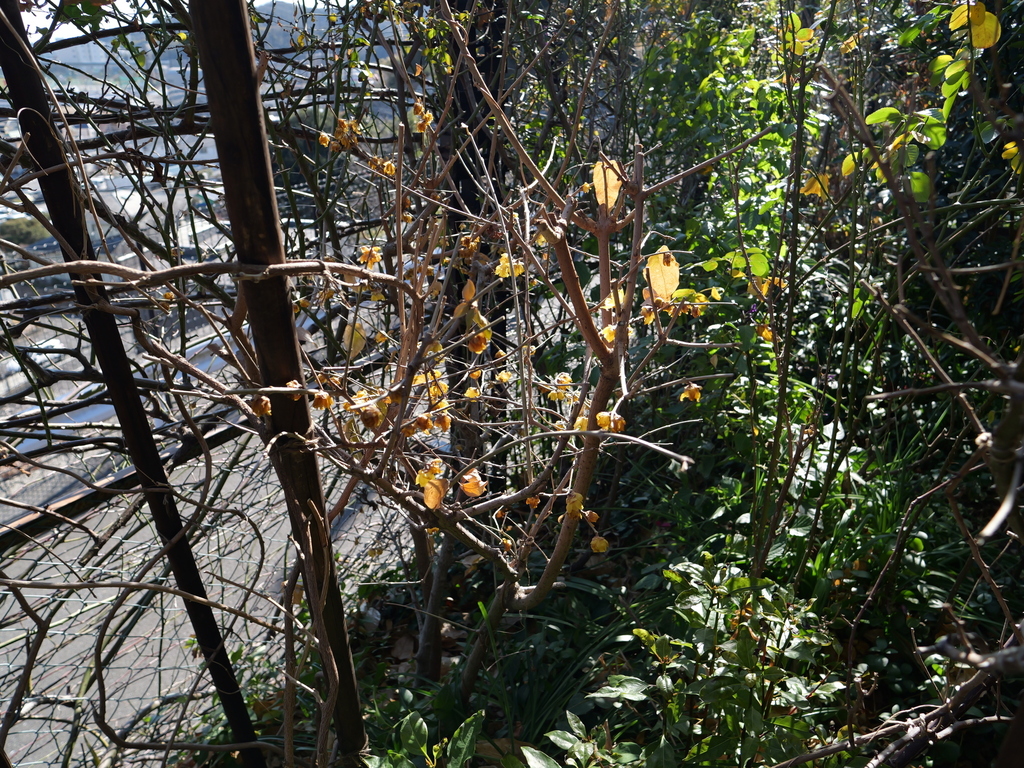 2025-01-29 12_22№(0221).JPG