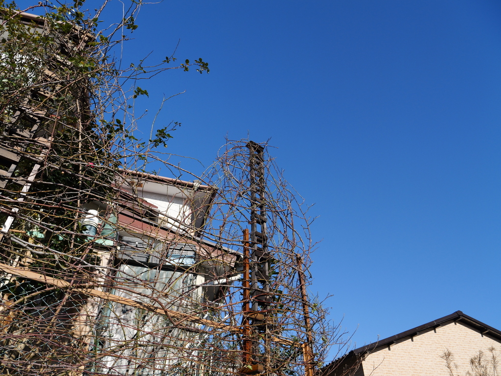 2025-02-07 08_49№(0005).JPG