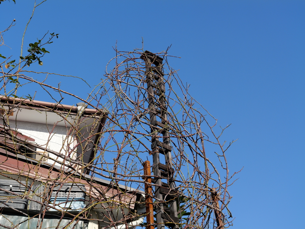 2025-02-07 08_49№(0006).JPG