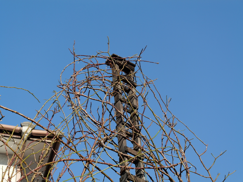 2025-02-07 08_49№(0007).JPG