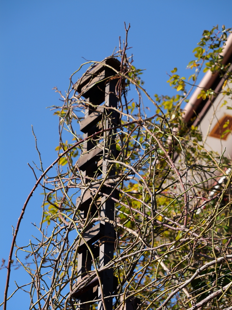 2025-02-08 08_52№(0014).JPG