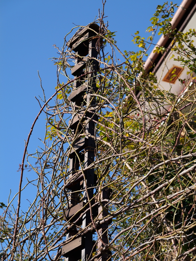 2025-02-08 08_52№(0015).JPG