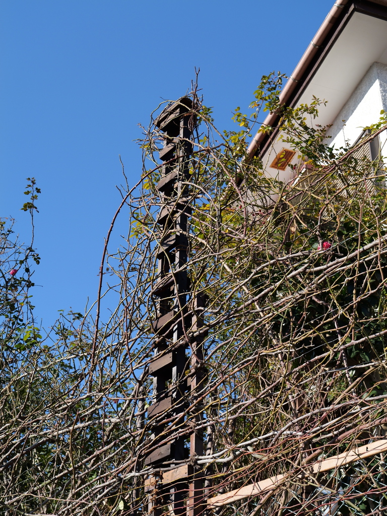 2025-02-08 08_52№(0016).JPG