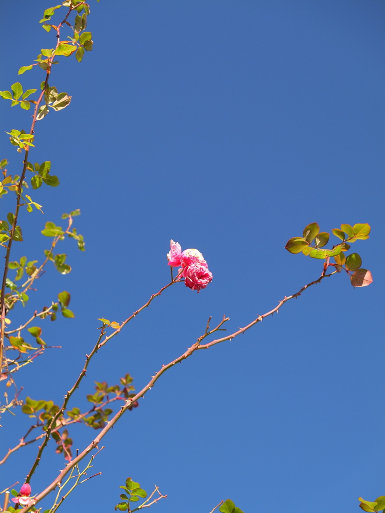 2025-02-08 08_53№(0026).JPG