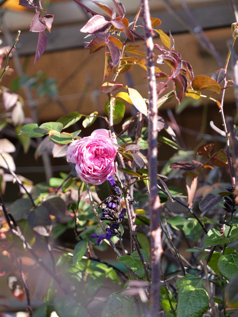 2025-02-08 08_56№(0027).JPG