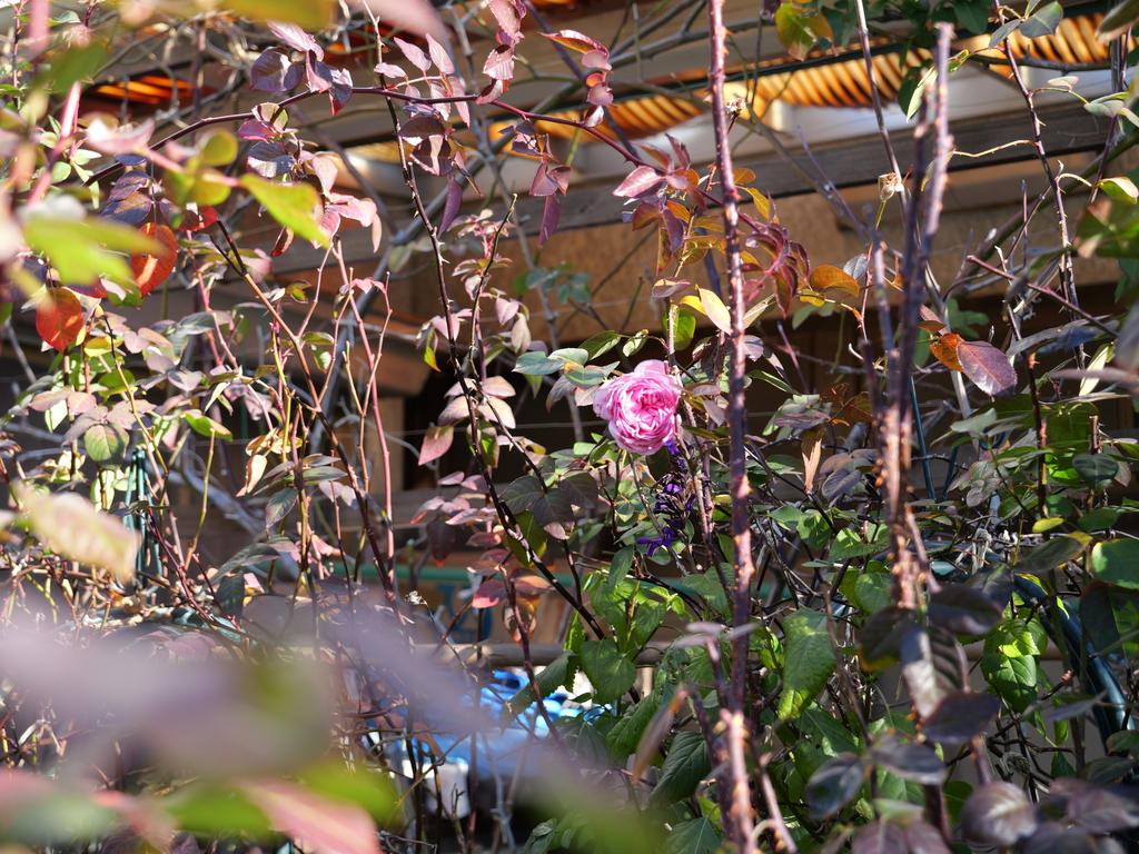 2025-02-08 08_56№(0030).JPG