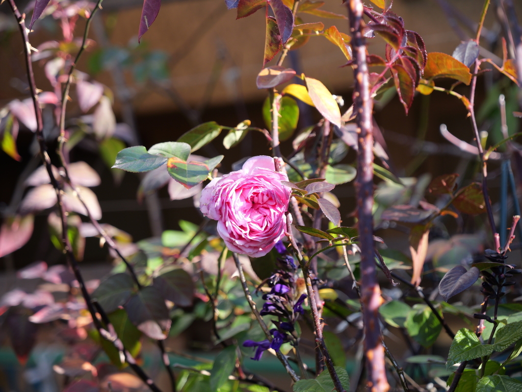 2025-02-08 08_56№(0031).JPG