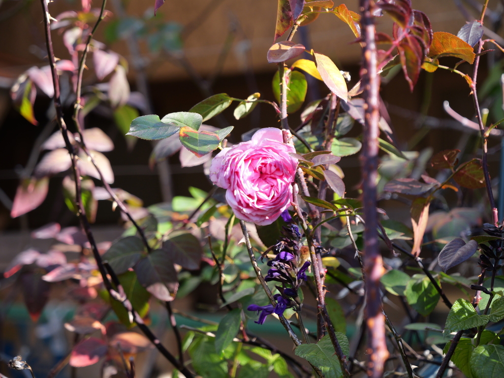 2025-02-08 08_56№(0032).JPG