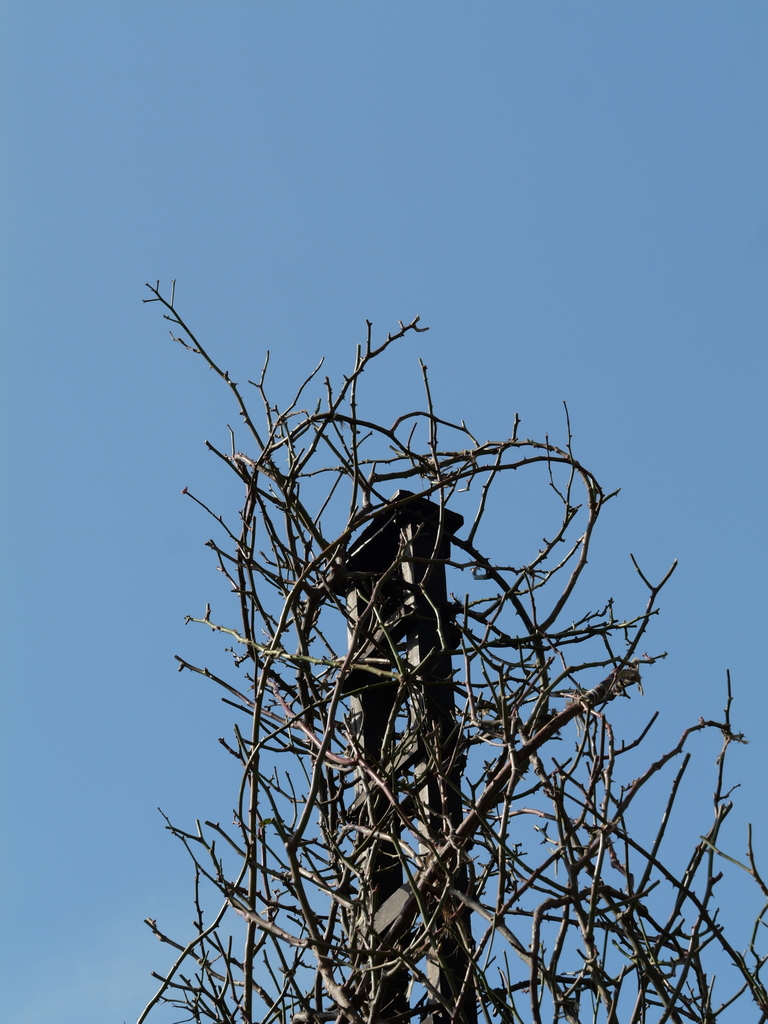 2025-02-12 10_14№(0006).JPG