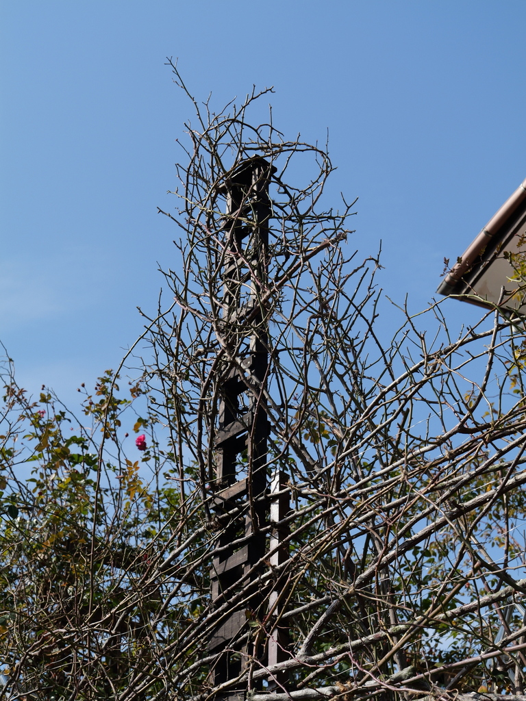 2025-02-12 10_14№(0009).JPG