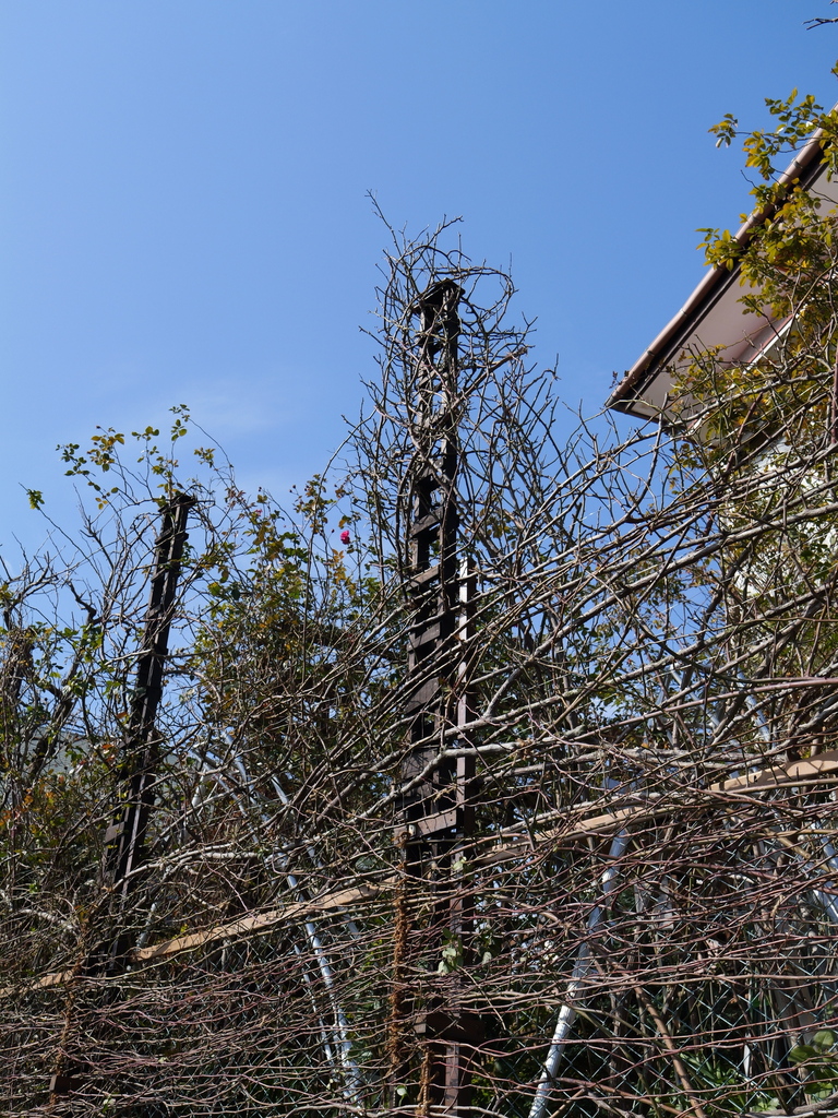 2025-02-12 10_14№(0010).JPG