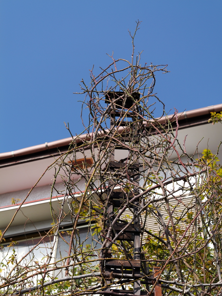 2025-02-12 10_14№(0012).JPG