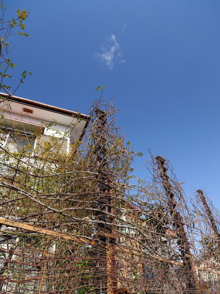 2025-02-12 10_14№(0013).JPG