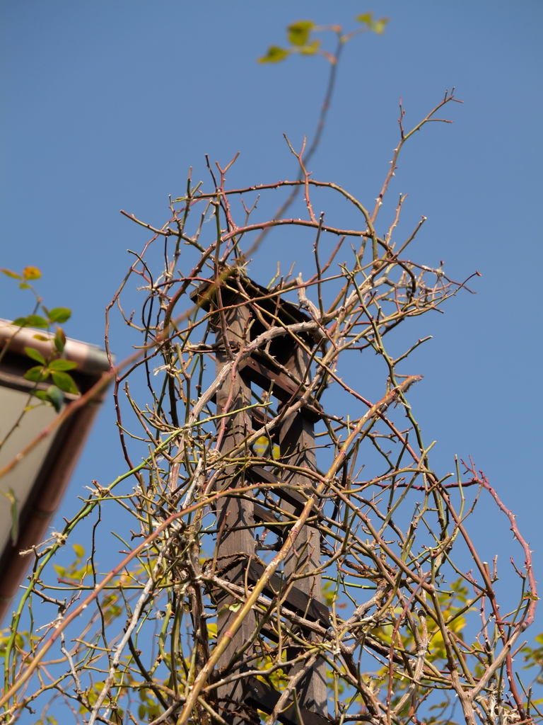 2025-02-12 10_14№(0015).JPG