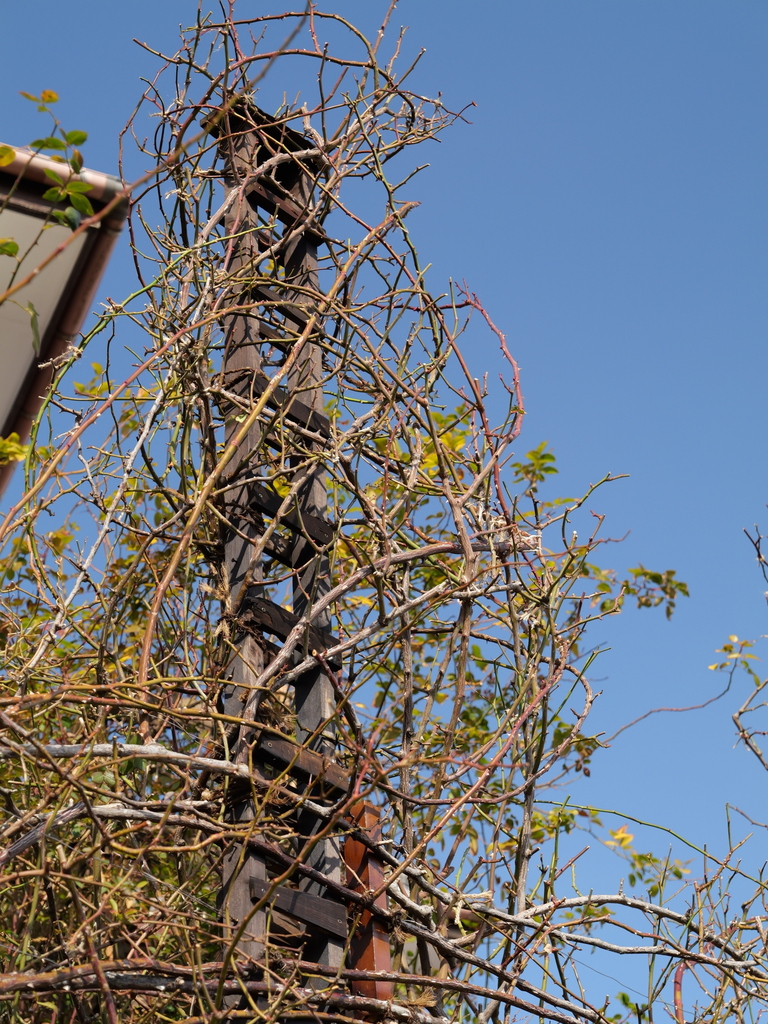 2025-02-12 10_14№(0016).JPG