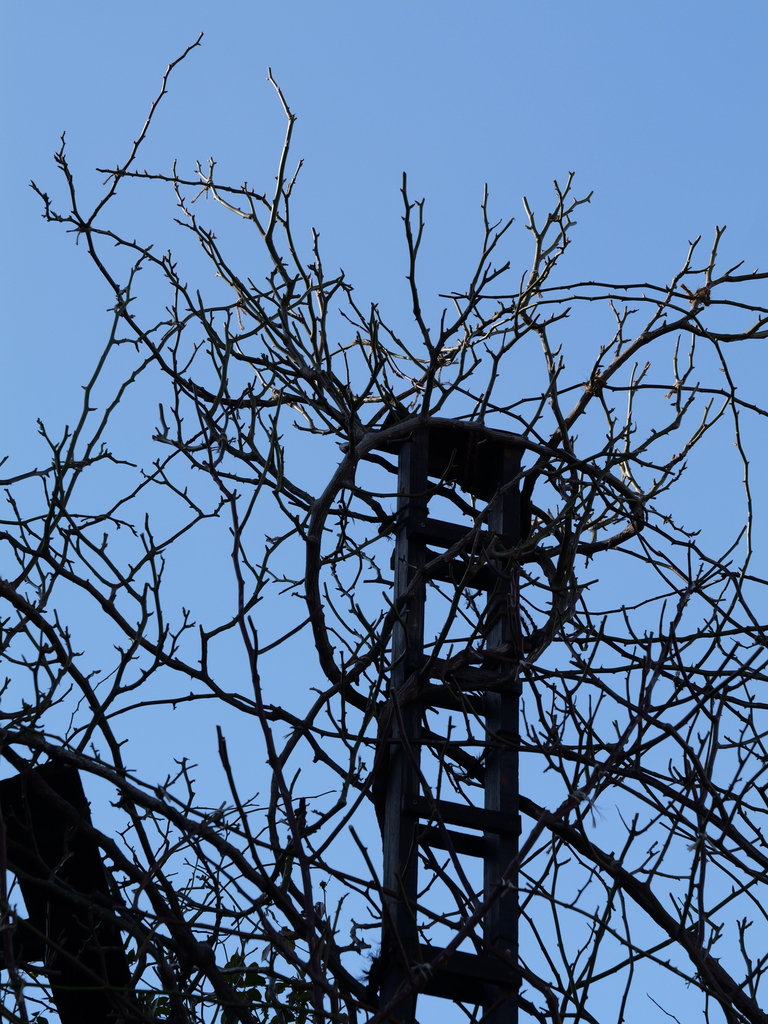 2025-02-17 15_02№(0024).JPG