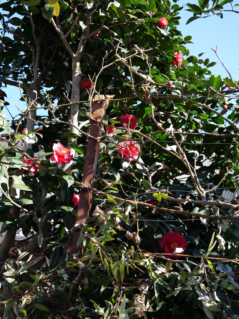 2025-02-19 09_34№(0010).JPG
