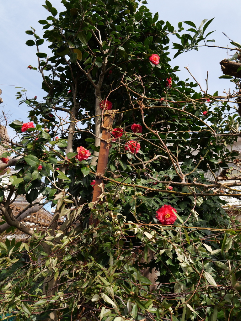 2025-02-21 11_05№(0053).JPG