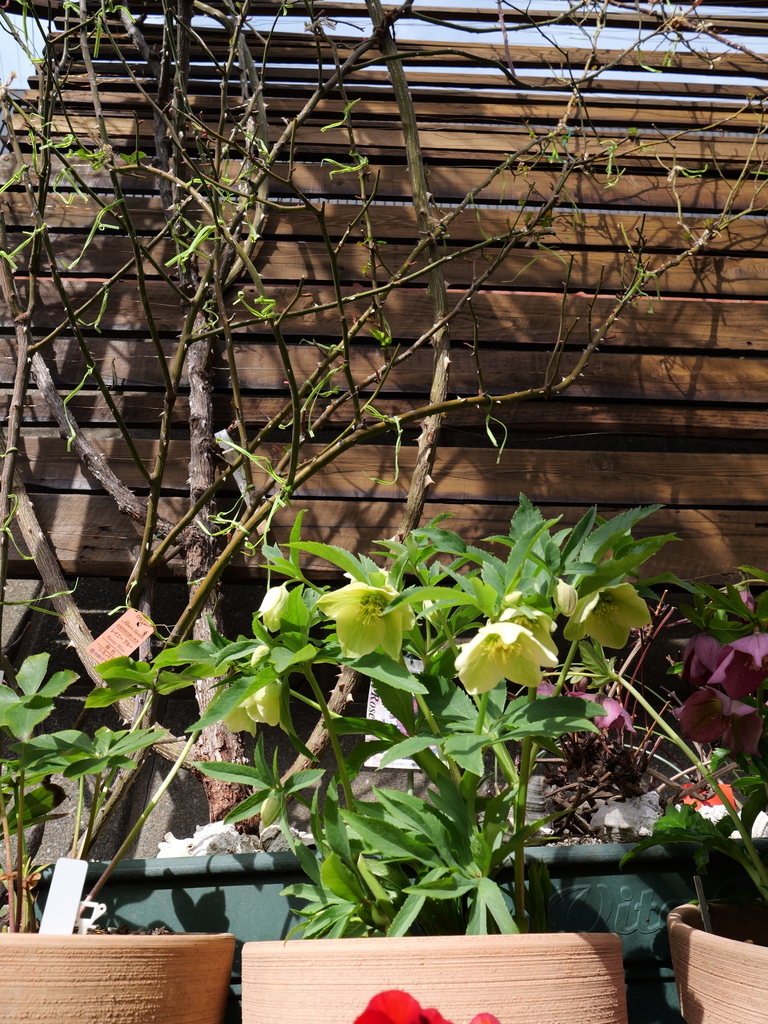 2025-02-21 11_22№(0093).JPG