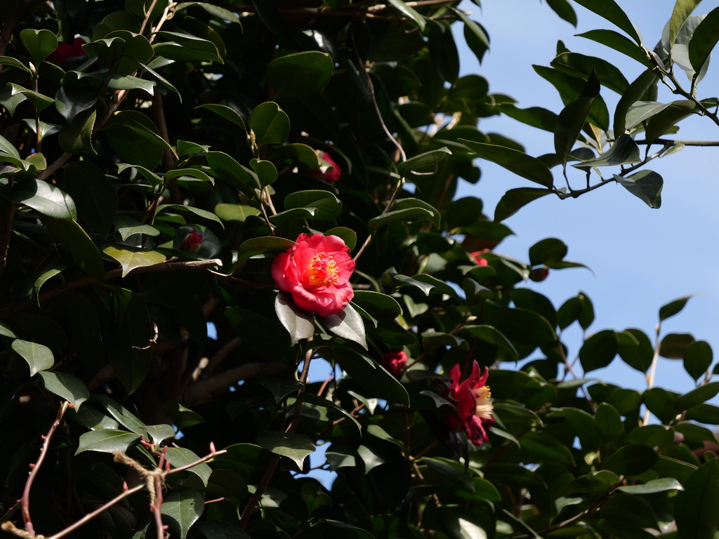 2025-02-21 11_30№(0152).JPG
