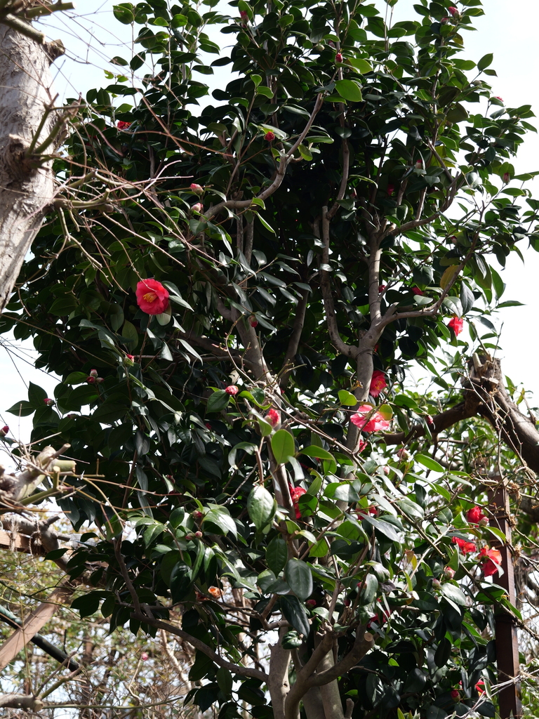 2025-02-21 11_30№(0154).JPG