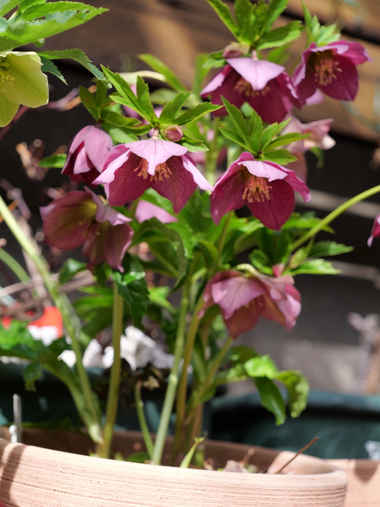 2025-02-21 11_32№(0178).JPG