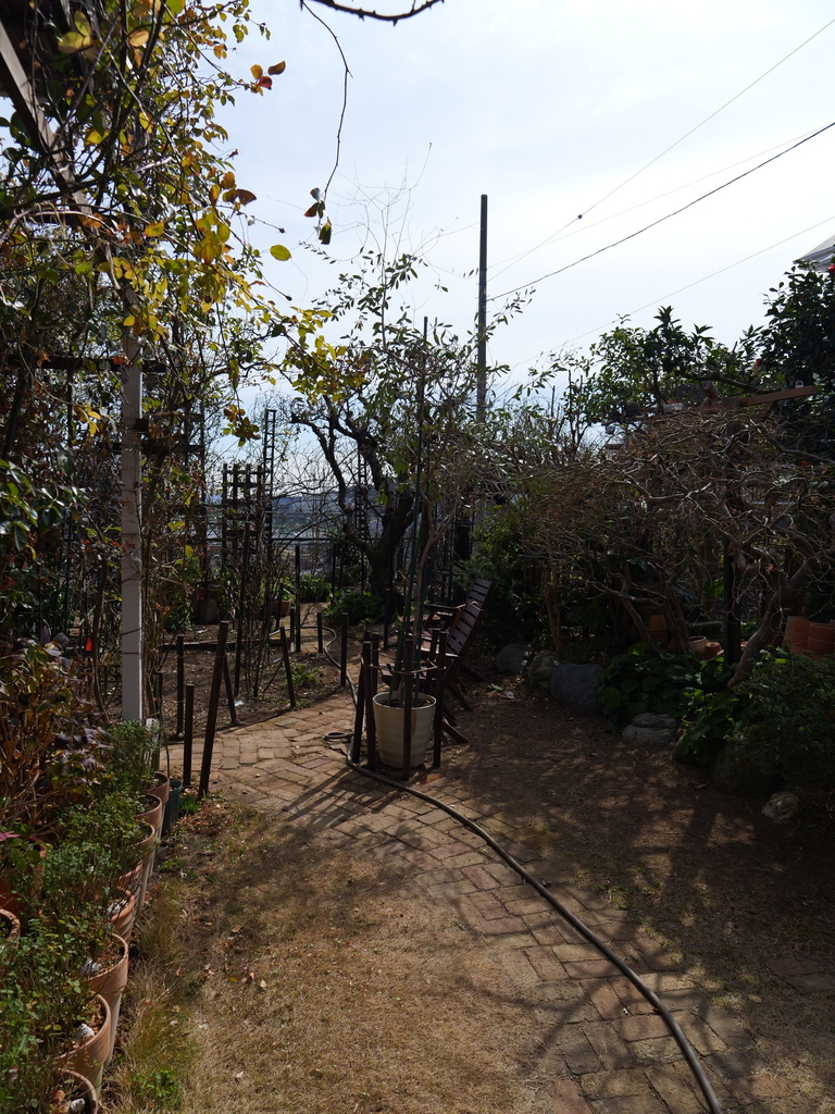2025-02-21 11_32№(0201).JPG