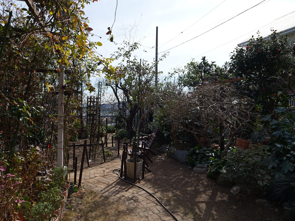 2025-02-21 11_32№(0202).JPG