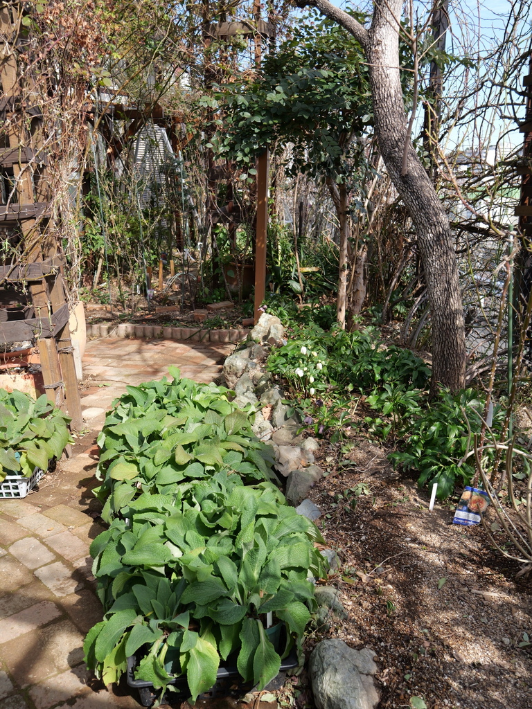 2025-02-21 11_33№(0208).JPG