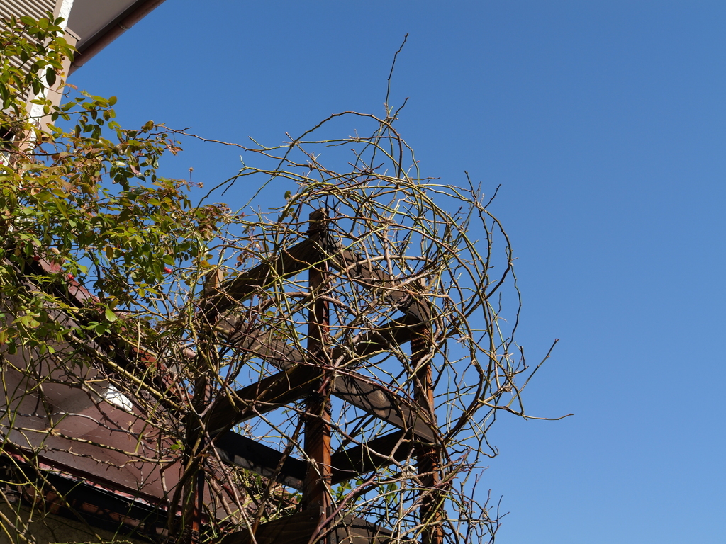 2025-02-22 09_49№(0007).JPG