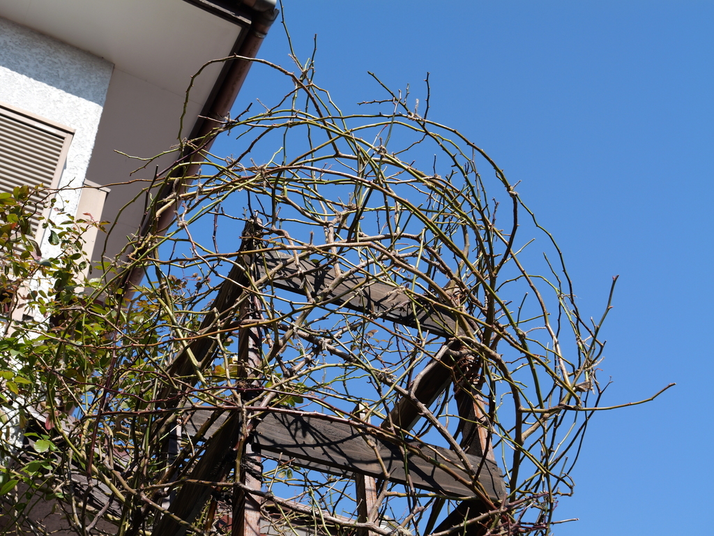 2025-02-22 09_49№(0009).JPG