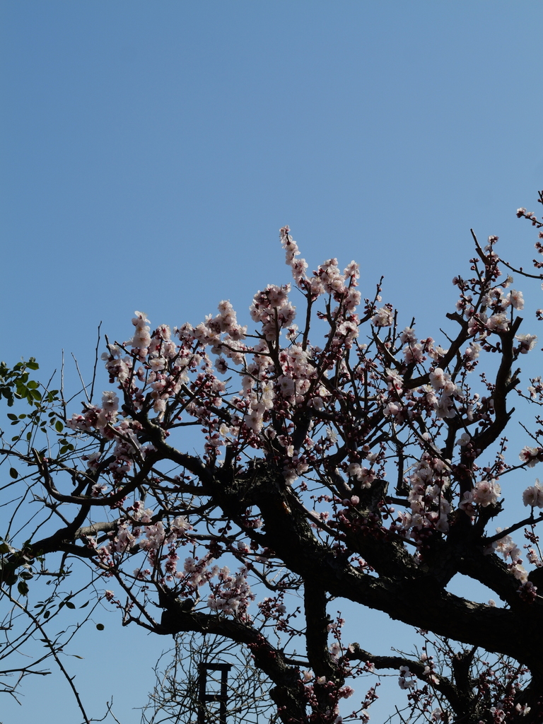 2025-02-28 12_53№(0011).JPG