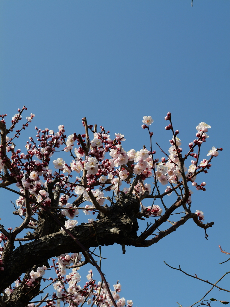 2025-02-28 12_54№(0013).JPG