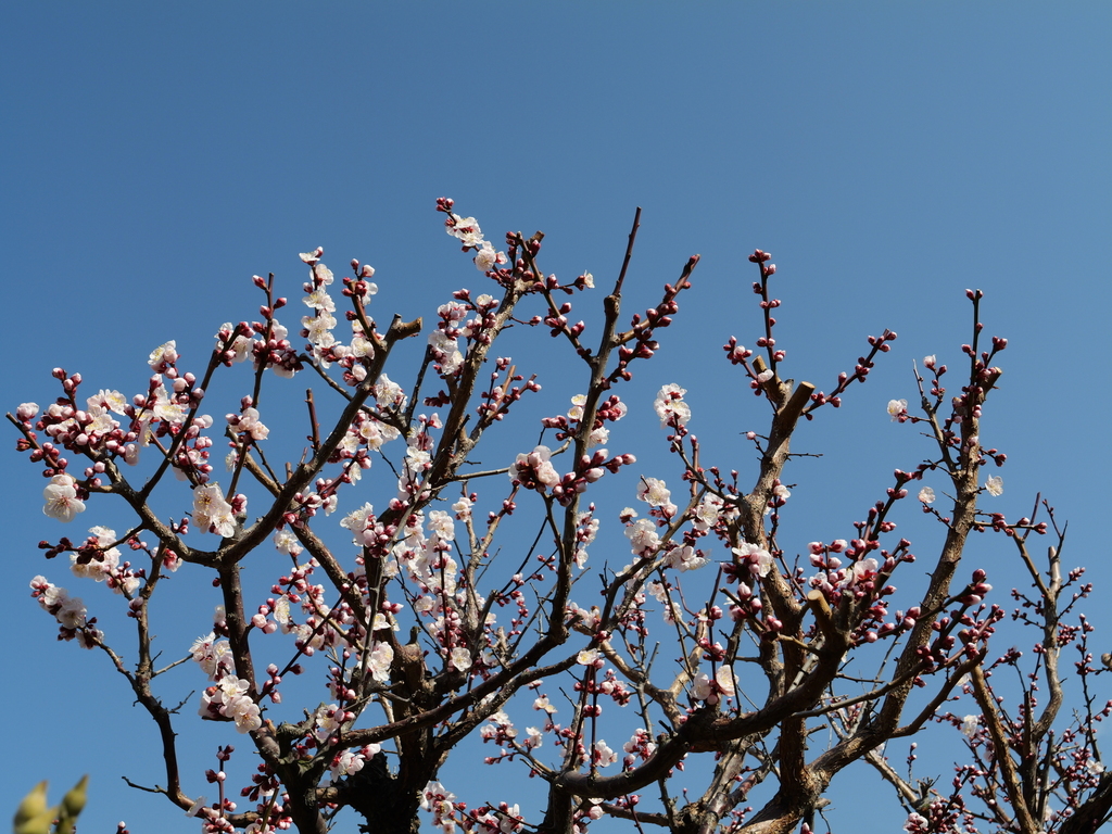 2025-02-28 12_55№(0017).JPG
