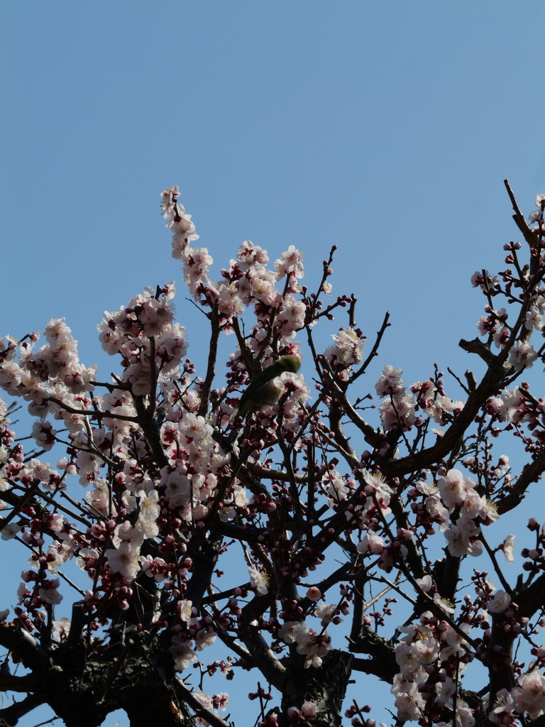 2025-02-28 12_58№(0024).JPG