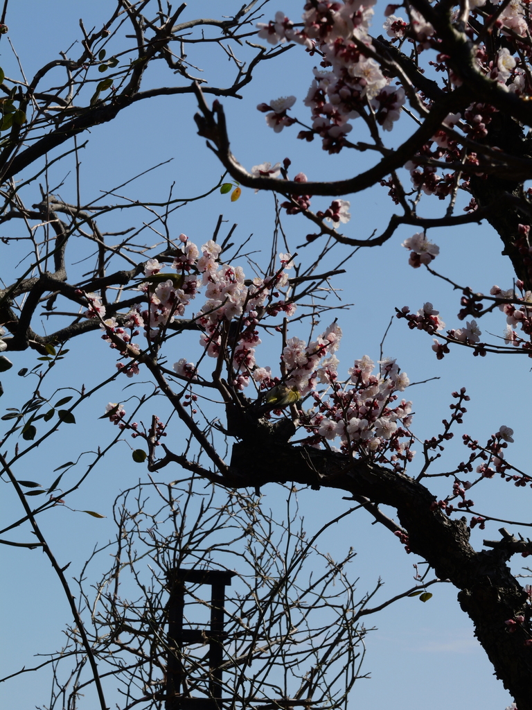 2025-02-28 13_00№(0030).JPG