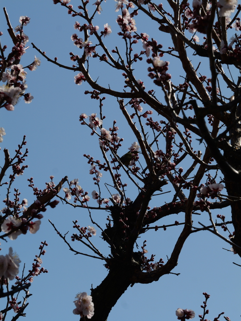 2025-02-28 13_01№(0031).JPG